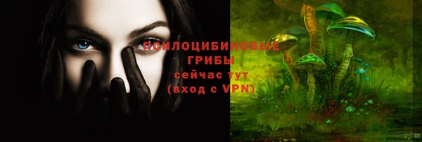 гашик Алексеевка