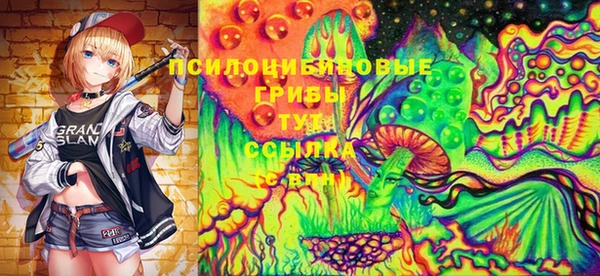 гашик Алексеевка